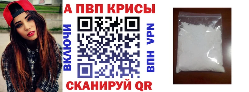 Альфа ПВП СК Новороссийск
