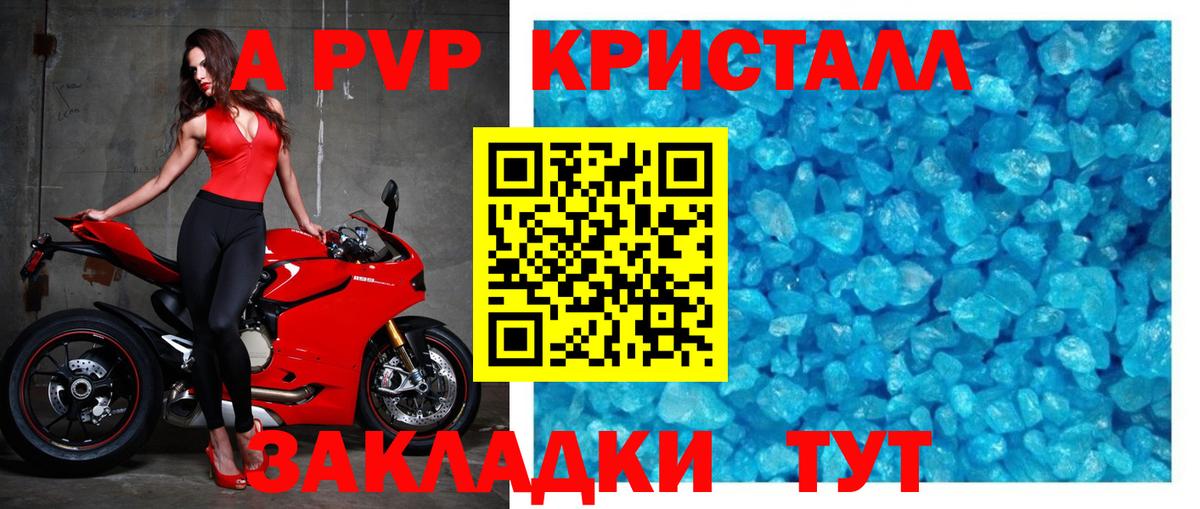 Alfa_PVP СК Новороссийск
