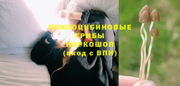 PSILOCYBIN Надым