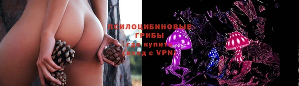 PSILOCYBIN Надым