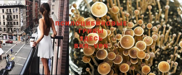 jwh Михайловск