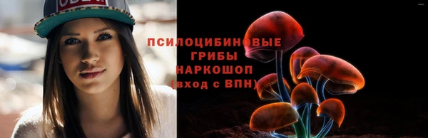 PSILOCYBIN Надым