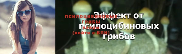 PSILOCYBIN Наволоки