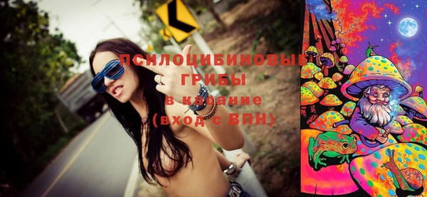 PSILOCYBIN Надым