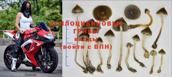 PSILOCYBIN Наволоки
