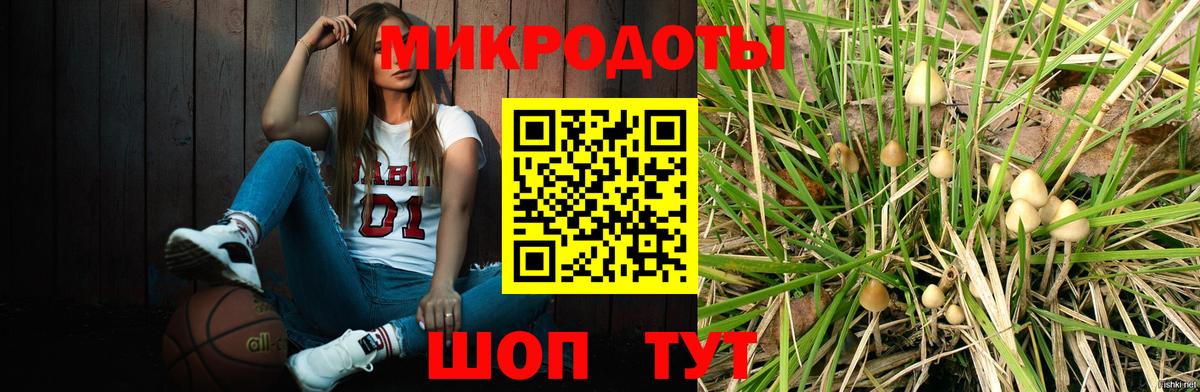 Галлюциногенные грибы ЛСД Новороссийск