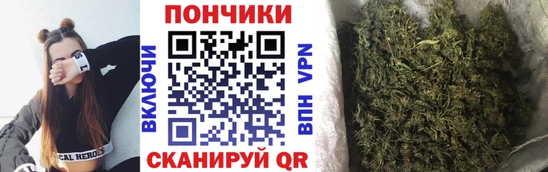 Каннабис Amnesia  магазин продажи   Новороссийск 